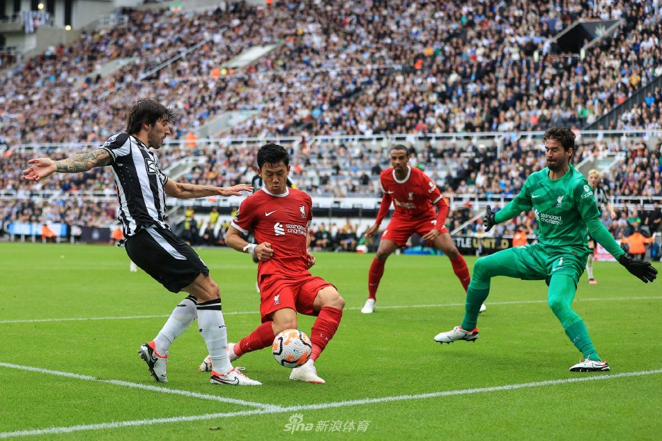 其他球员仍 其他球员仍